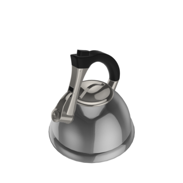 Mr. Coffee Collinsbrook 2.4 Qt Whistling Tea Kettle, Silver/Black 